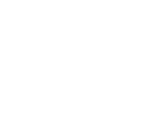 SwanMcG